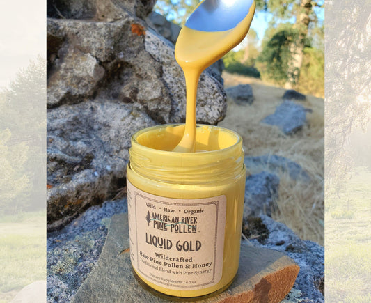 Liquid Gold -  Wildcrafted Raw Pine Pollen and Honey - Traditional Blend with Pine Synergy