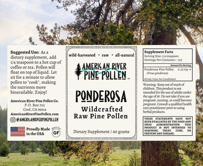 Ponderosa Pine Pollen - Raw and Wild-Harvested