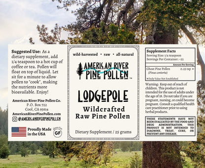 Lodgepole Pine Pollen - Raw and Wild-Harvested