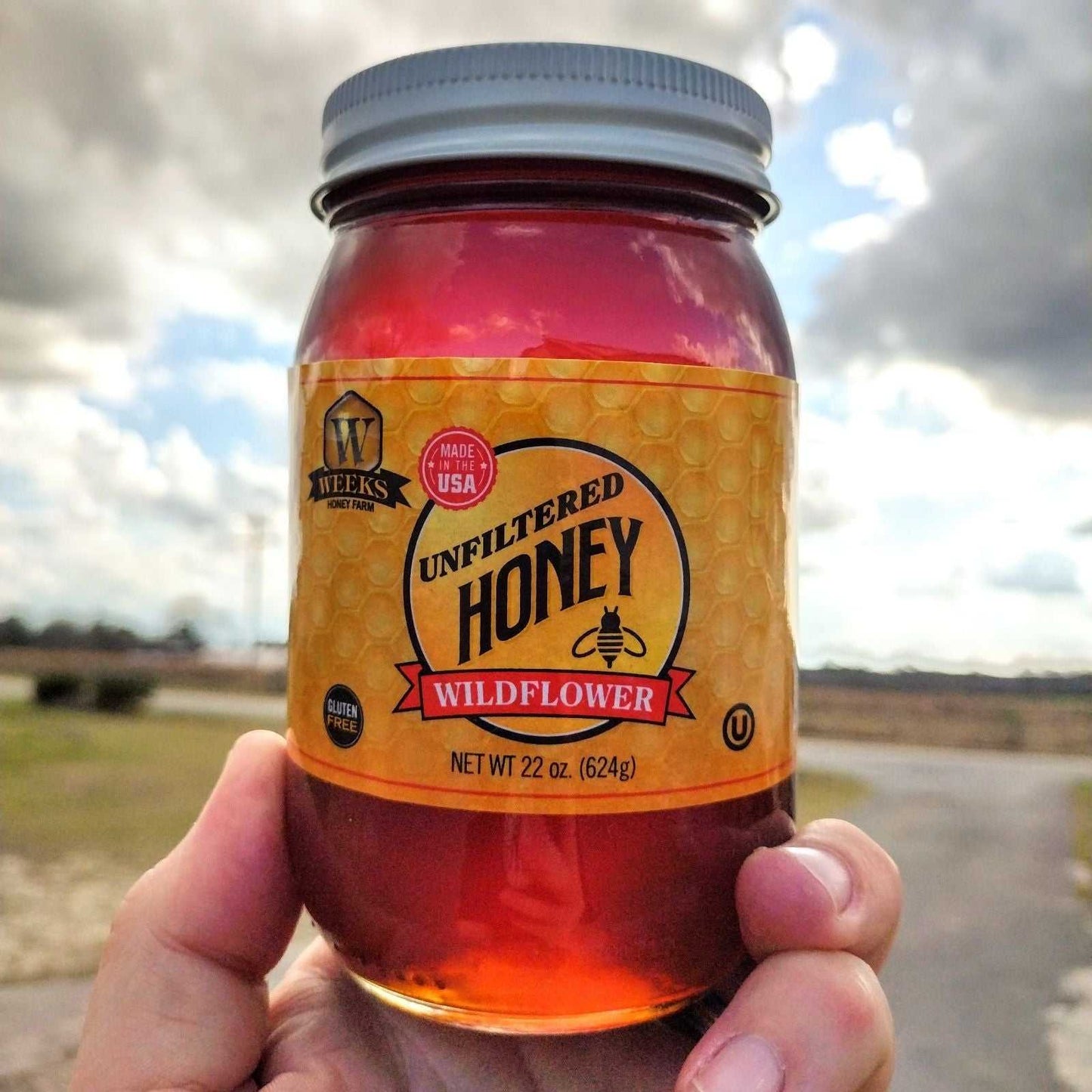 Pure Wildflower Honey - Natural & Raw | Weeks Honey Farm | Georgia