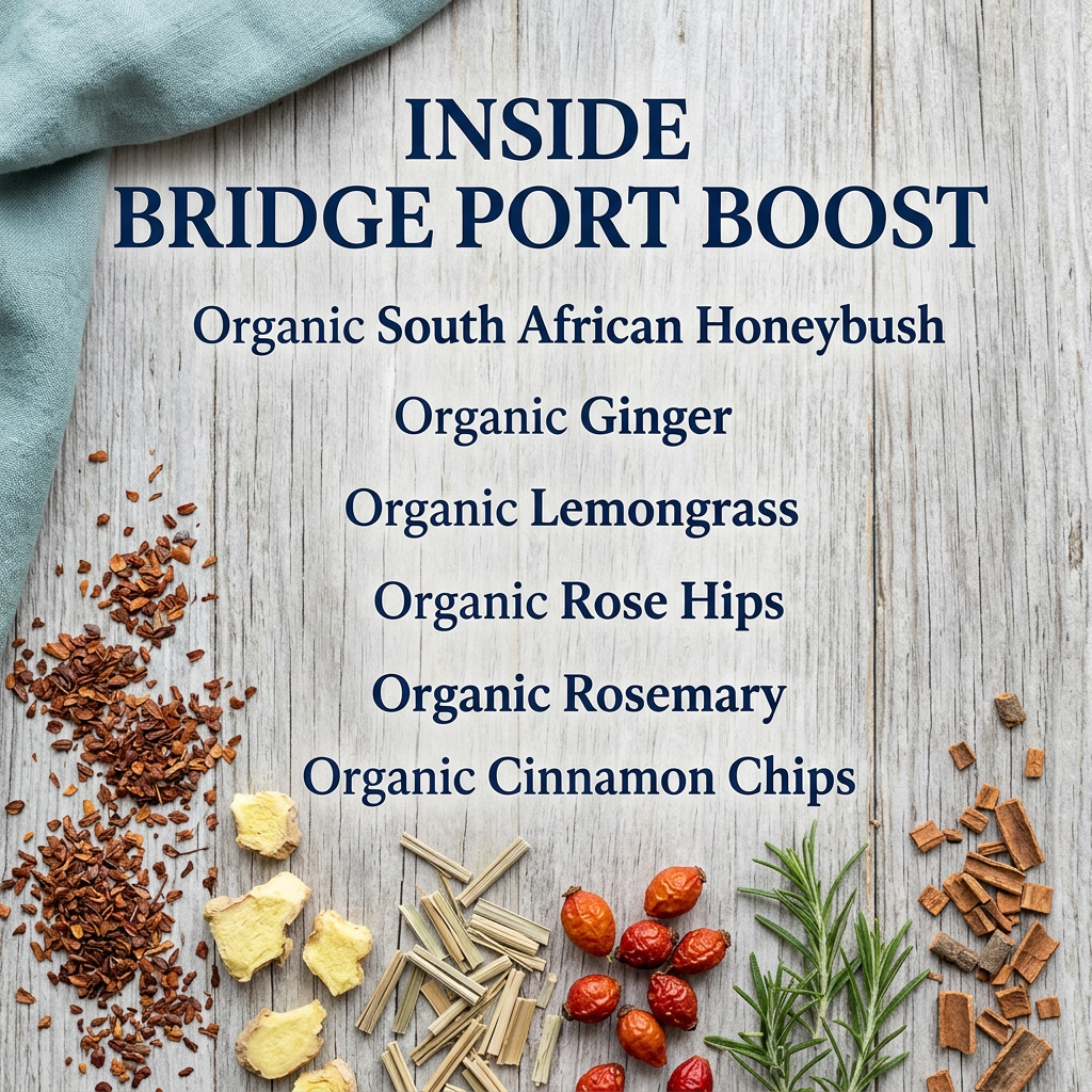 Bridge Port Boost