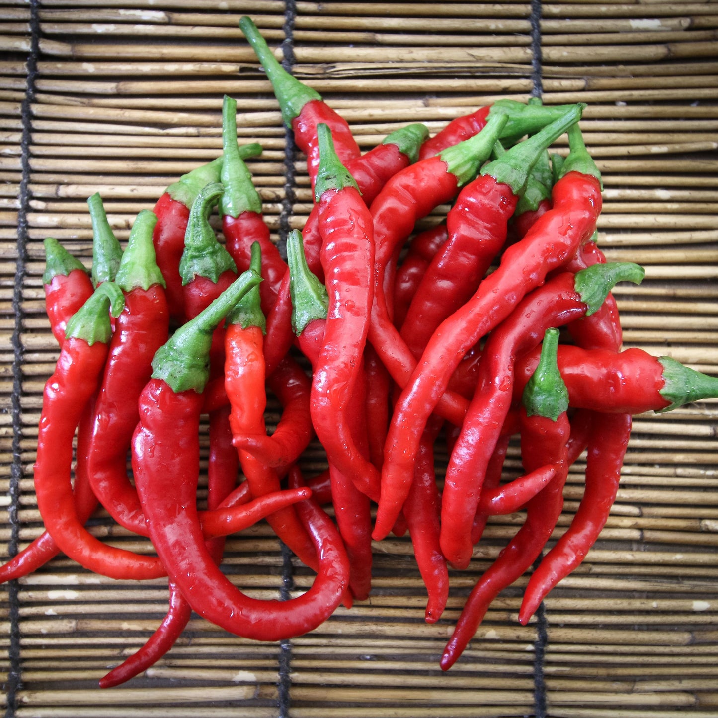 Cayenne Long Slim Pepper