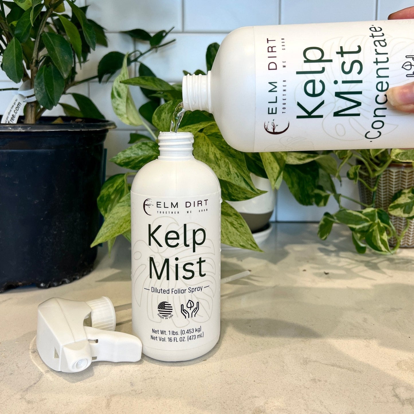 Kelp Mist Foliar Spray