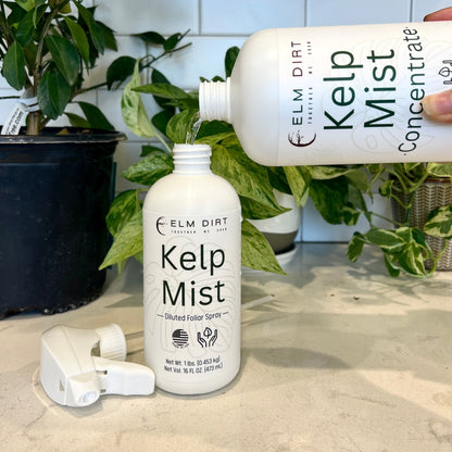Kelp Mist Foliar Spray