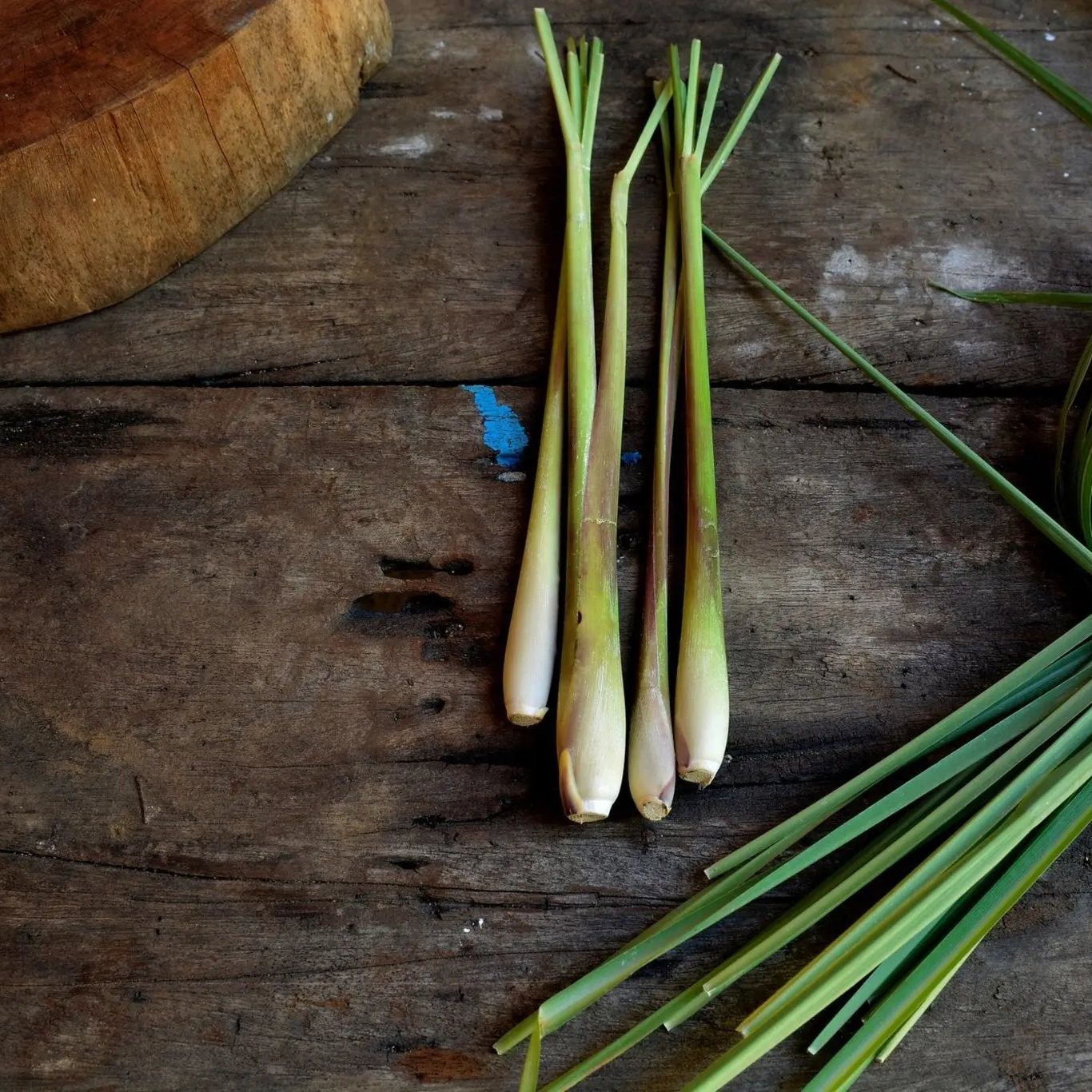 Lemon Grass Seeds - West Indian Lemon Grass
