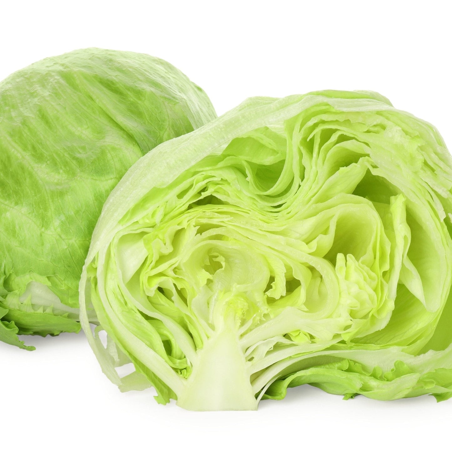 Lettuce Seeds - Batavian Great Lakes 118