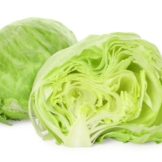 Lettuce Seeds - Batavian Great Lakes 118