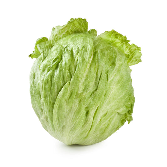 Lettuce Seeds - Hanson Improved Crisphead