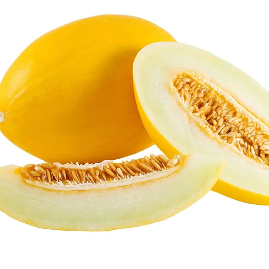 Melon Seeds - Canary Yellow