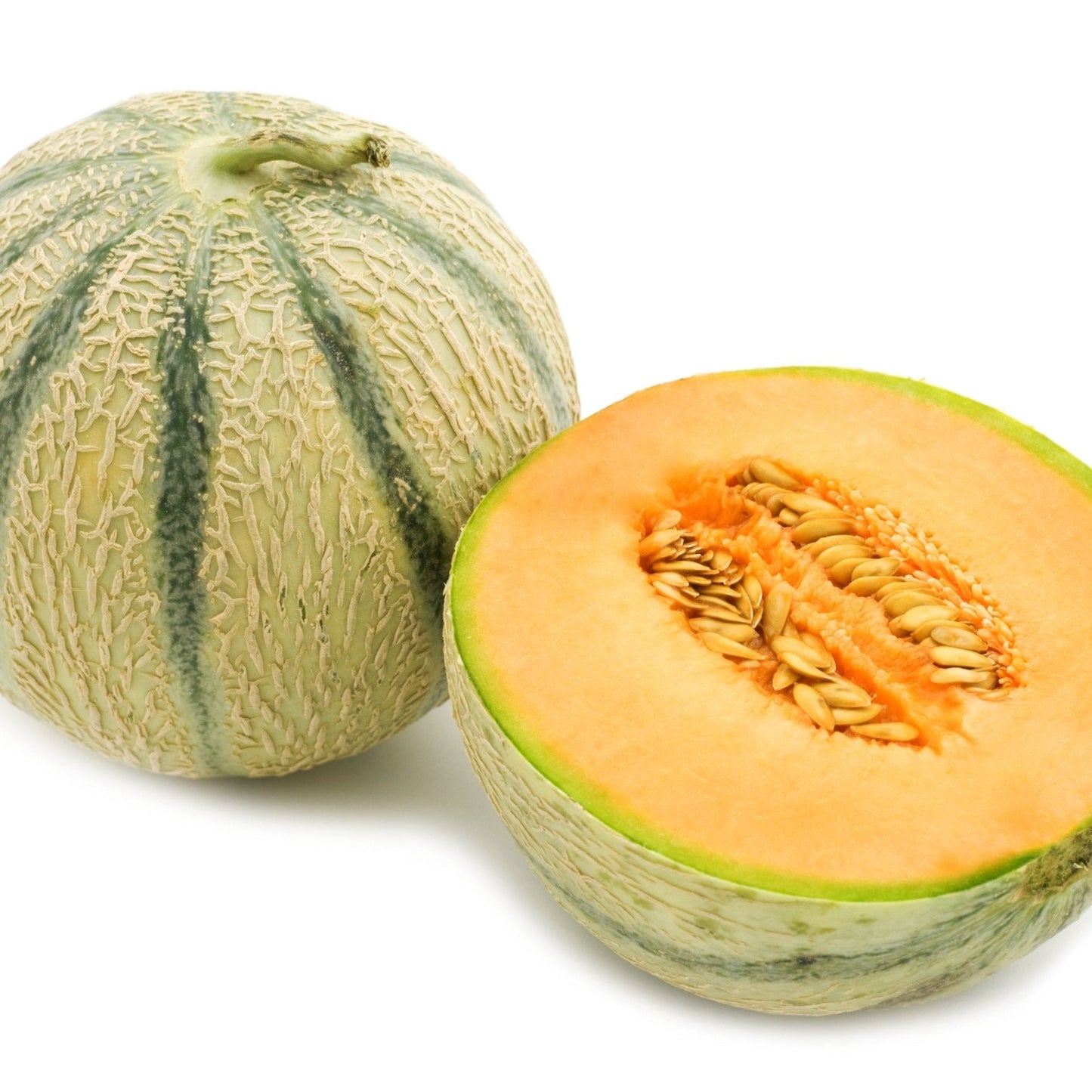 Melon Seeds - Charentais