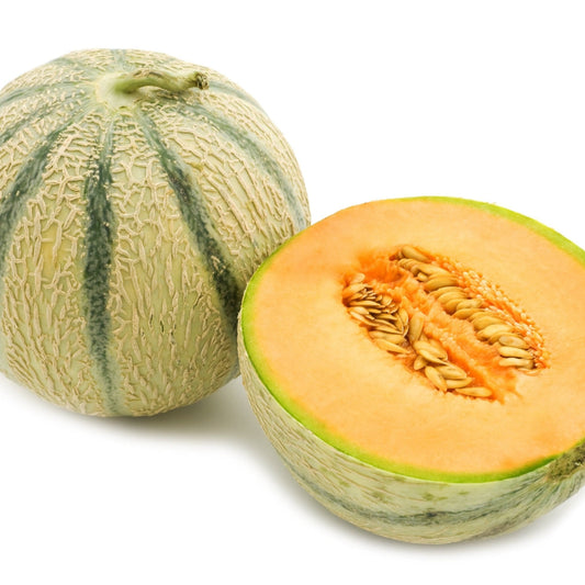 Melon Seeds - Charentais
