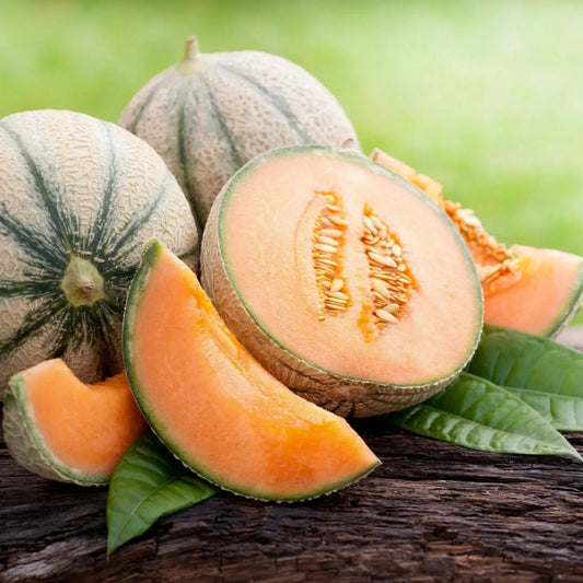 Melon Seeds - Hales Best Jumbo Cantaloupe