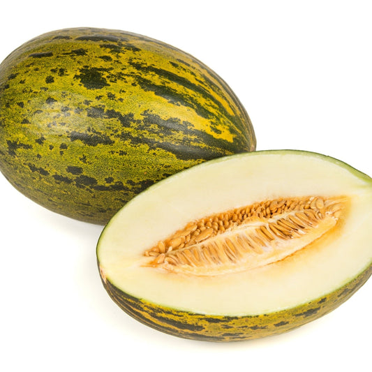 Melon Seeds - Piel de Sapo Melon