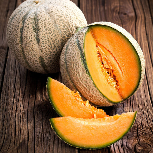 Melon Seeds - Planters Jumbo Cantaloupe