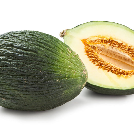 Melon Seeds - Tendral Verde Tardif