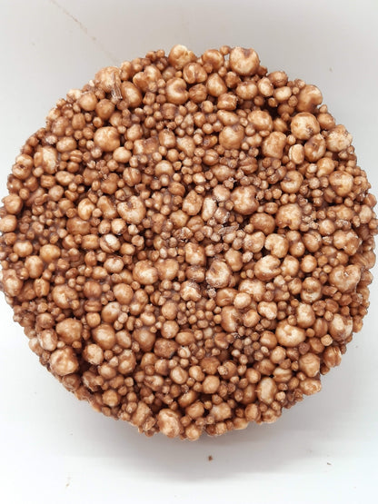 NEW Milk Chocolate Alegria Bites