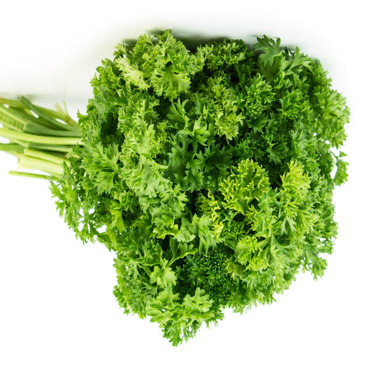 Herb Parley, Mossy Curled Seeds