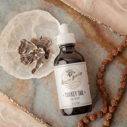 Turkey Tail Dual Extract Tincture by Hodgins Harvest