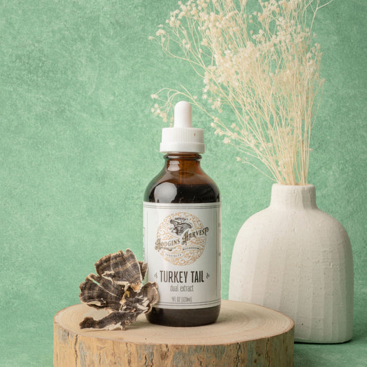 Turkey Tail Dual Extract Tincture by Hodgins Harvest