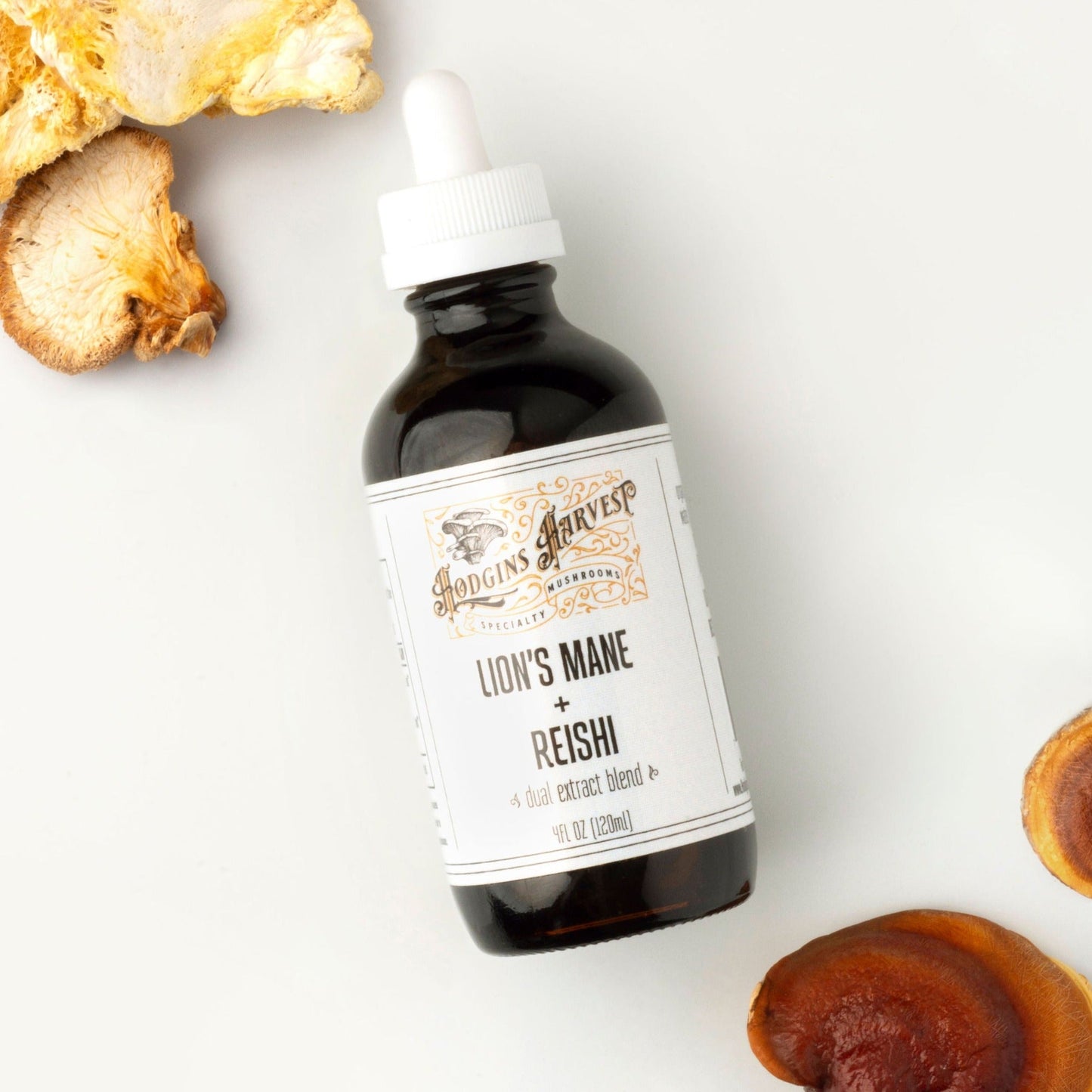 Lion's Mane + Reishi Dual Extract Tincture by Hodgins Harvest