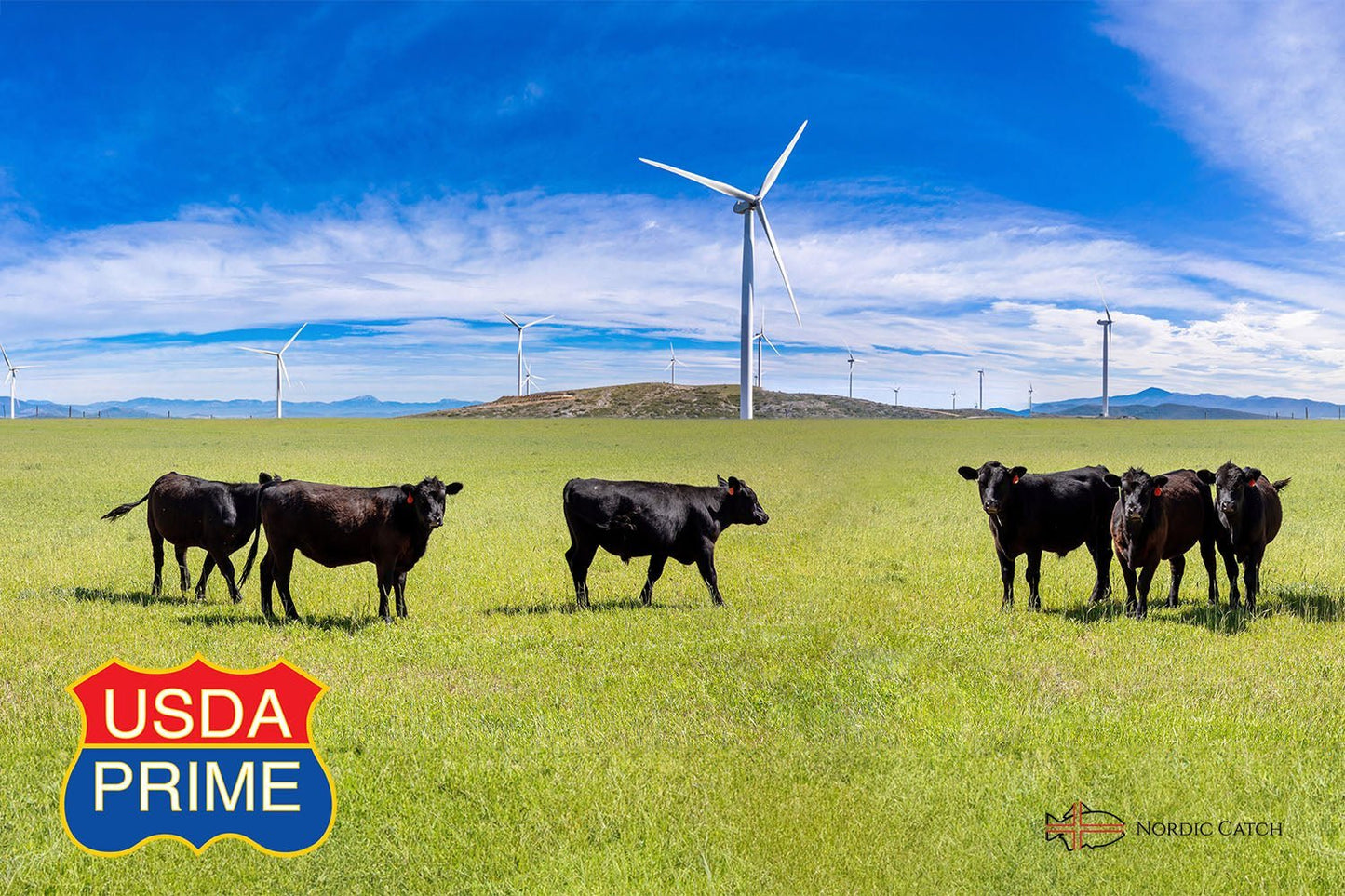 Natural Black Angus Prime NY Strip Steak, Grass Fed (Bulk Case)