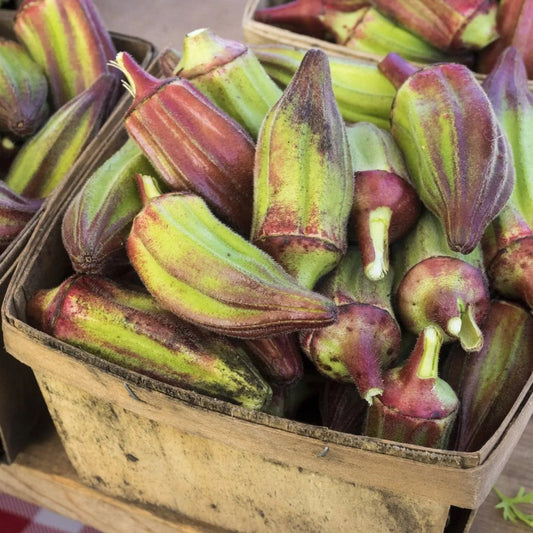 Okra Seeds - Texas Hill Country Red
