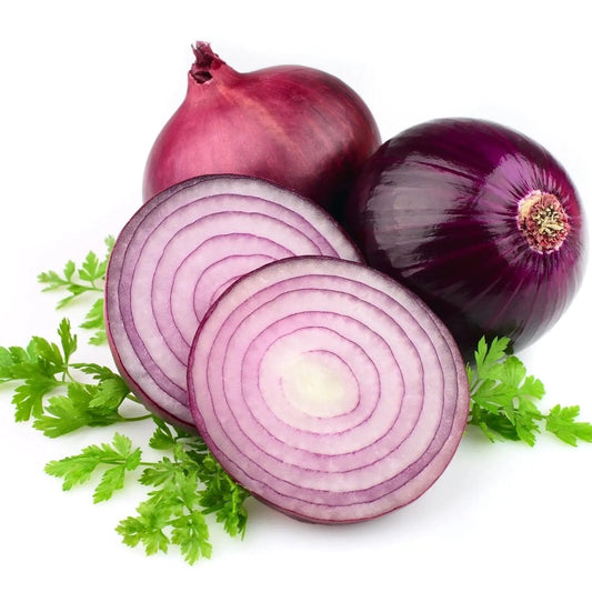Onion Seeds - Short - Red Creole