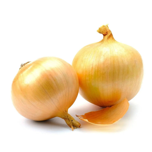 Onion Seeds - Long - Utah Yellow Sweet Spanish