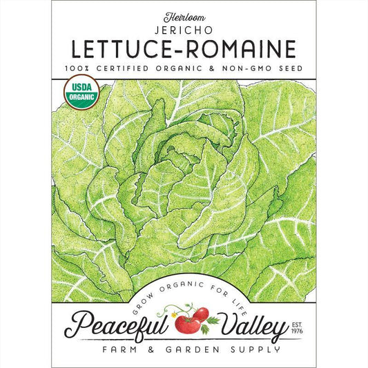 Romaine, Jericho Lettuce Seeds (Organic)