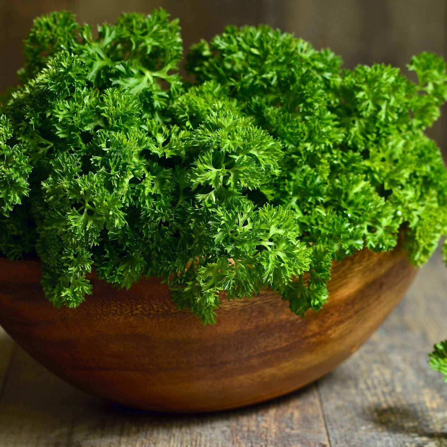 Parsley Seeds - Triple Moss Curled