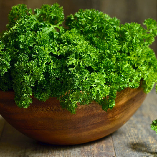 Parsley Seeds - Triple Moss Curled