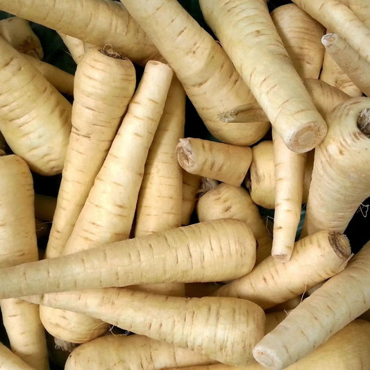 Parsnip Seeds - Harris Model