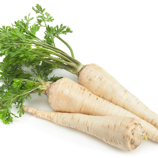 Parsnip Seeds - Harris Model