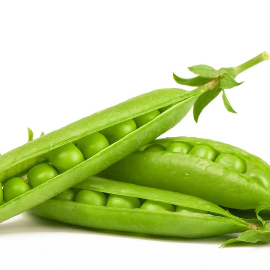 Pea Seeds - Garden - Green Arrow