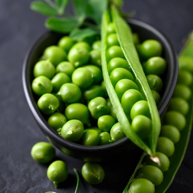 Pea Seeds - Snap - Original Sugar Snap