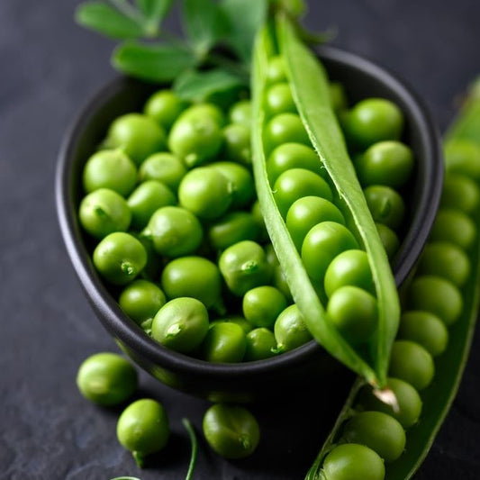 Pea Seeds - Snap - Original Sugar Snap