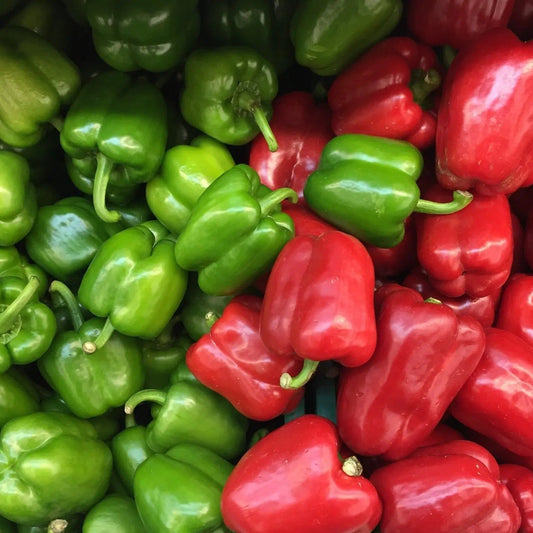 Pepper Seeds - Sweet - California Wonder 300 TMR Pepper