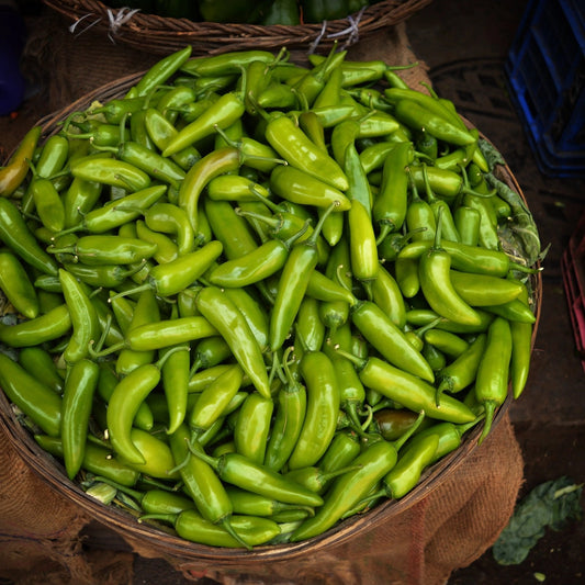 Pepper Seeds - Hot - Big Jim
