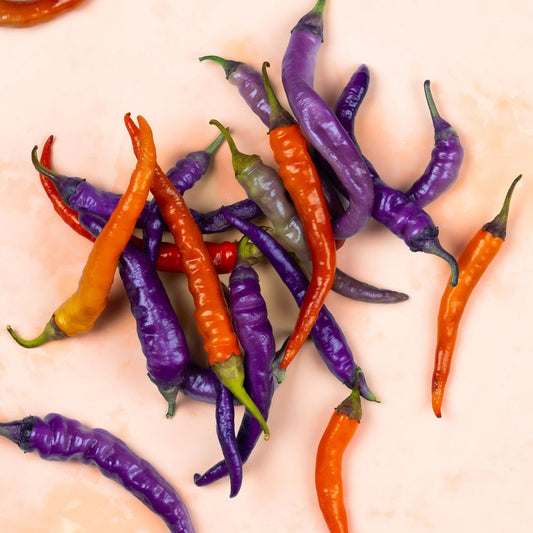 Pepper Seeds - Hot - Buena Mulata