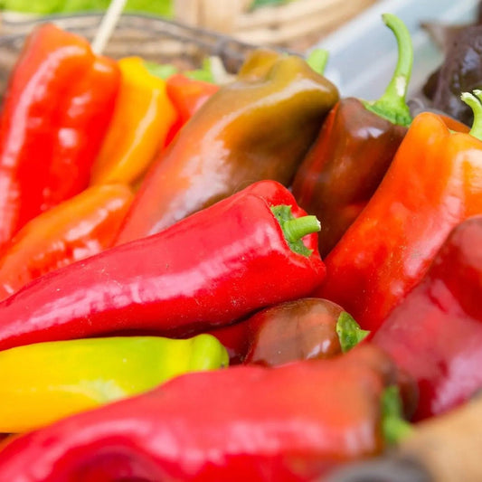 Pepper Seeds - Hot - Hungarian Hot Wax Peppers