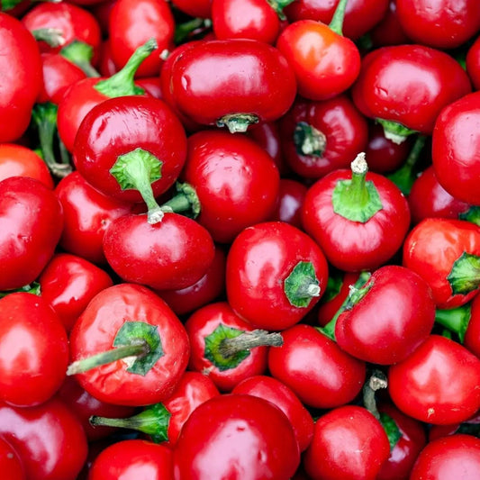 Pepper Seeds - Hot - Red Cherry