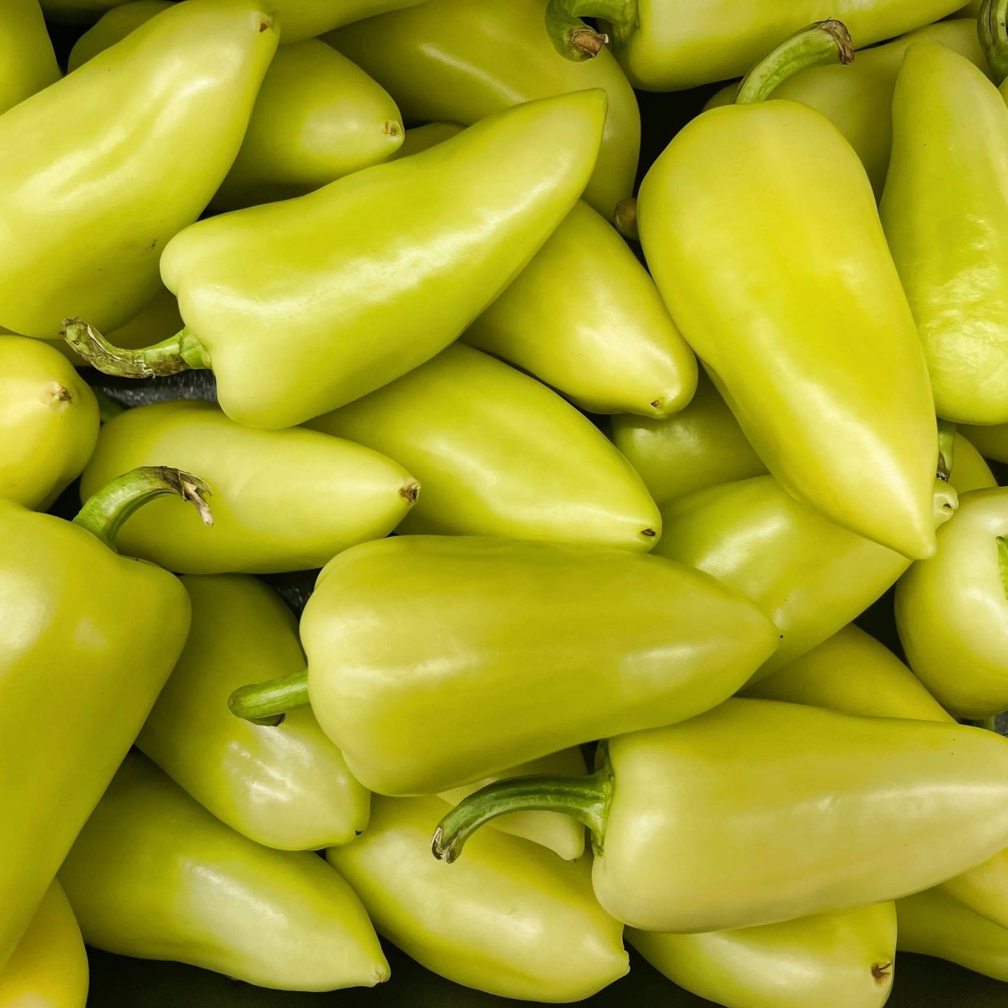 Pepper Seeds - Hot - Santa Fe Grande