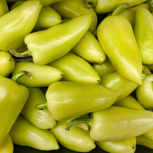 Pepper Seeds - Hot - Santa Fe Grande