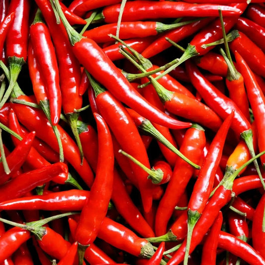 Pepper Seeds - Hot - Thai