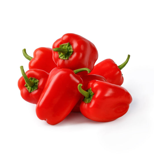 Pepper Seeds - Sweet - Miniature Red Bell Pepper