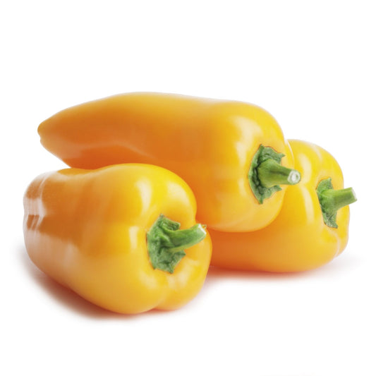 Pepper Seeds - Sweet Miniature Yellow Bell Pepper