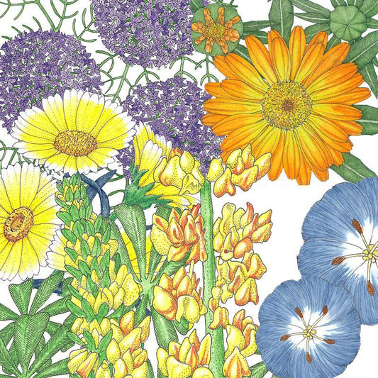 Peaceful Valley Flowering Pollinator Mix (1/4 lb)