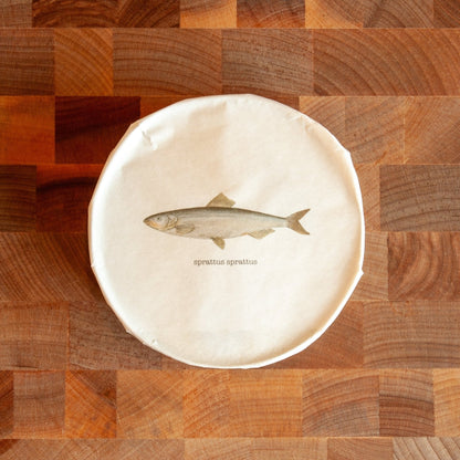 Baltic Gold Smoked Sprats (2023 Vintage)