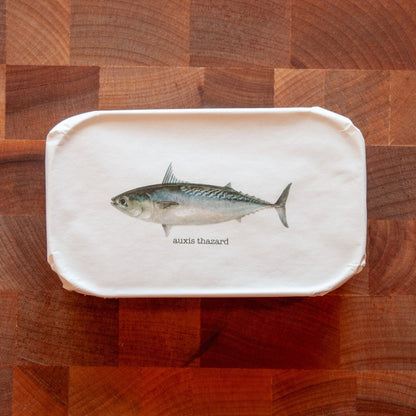 Young Bullet Tuna Fillets in Olive Oil (2023 Vintage)