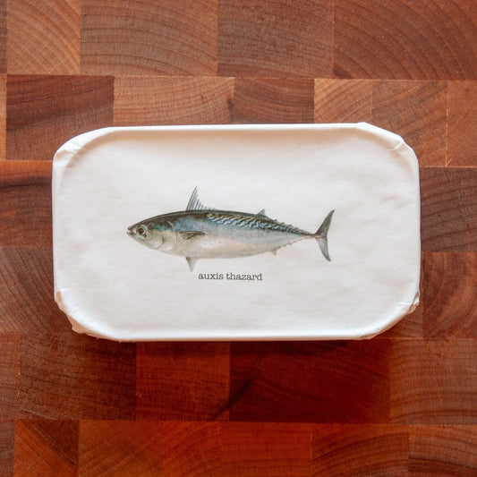 Young Bullet Tuna Fillets in Olive Oil (2023 Vintage)